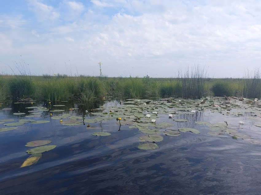 Visitor Center Sulina
