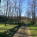 Vităneștii de sub Măgură