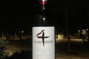 Viticola Sarica Niculitel Sa