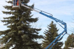 Vrabpim Consulting Srl