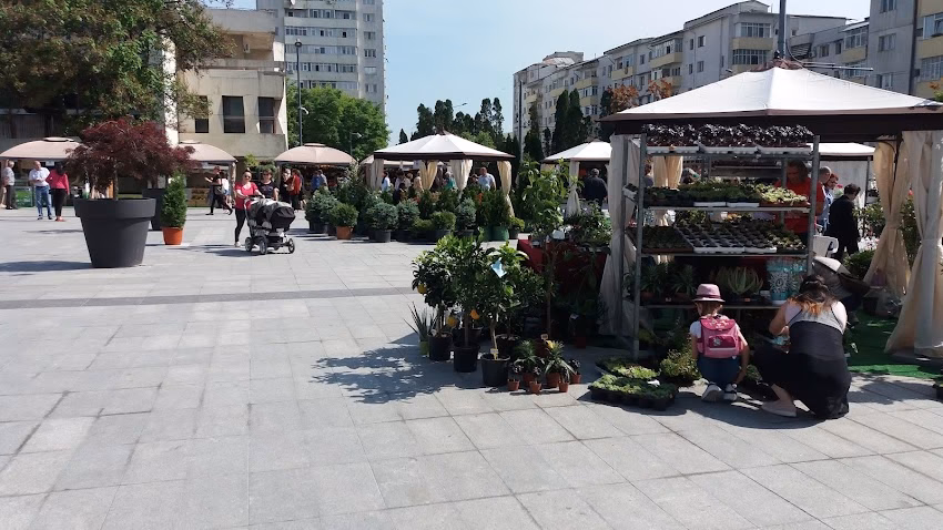 Vremea Nouă
