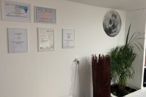 Vulpis Transylvania srl