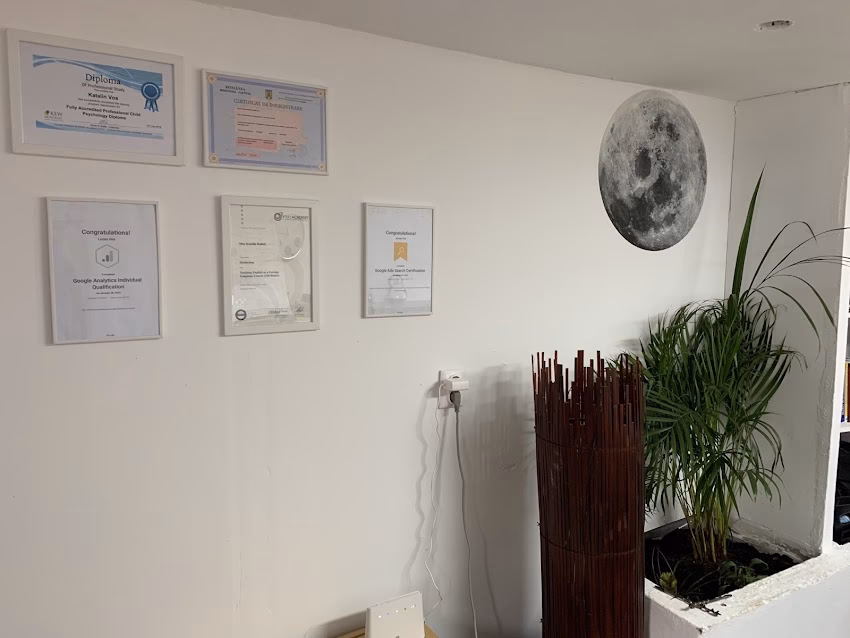 Vulpis Transylvania srl