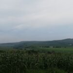 Vultureni