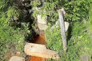 Zăvoaiele Borcutului