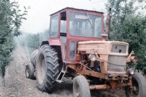 Zilele Comunei Berlești