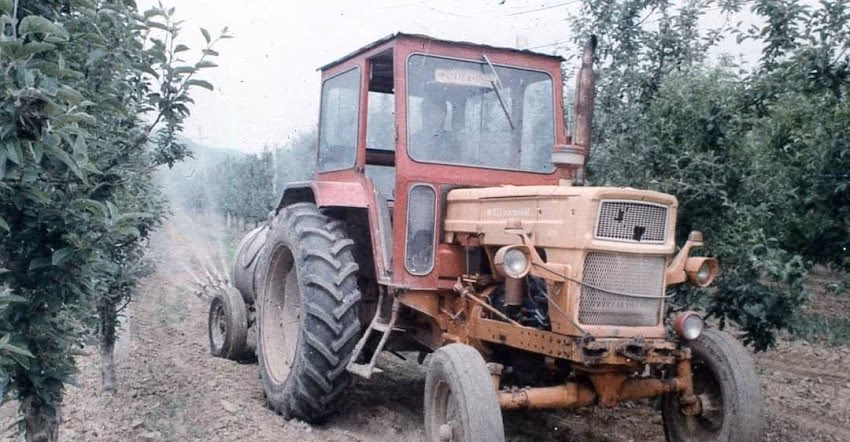 Zilele Comunei Berlești