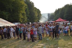 Zilele comunei Stejari